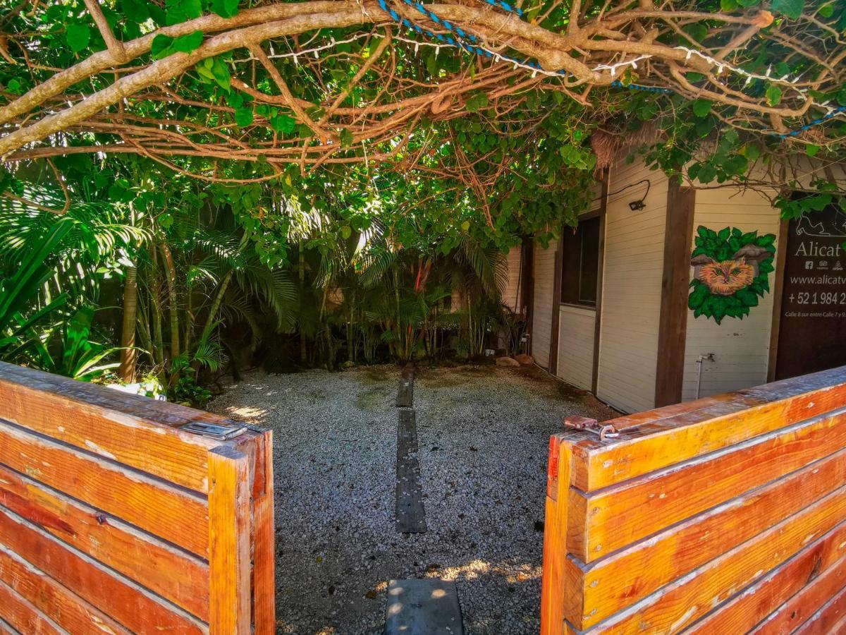 Alicat Villas Tulum Exterior foto